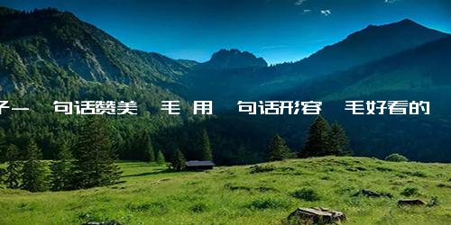 句子-一句话赞美睫毛 用一句话形容睫毛好看的句子